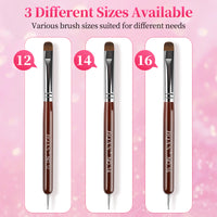 BQAN Dual Tip Nail Art Brush #12 #14 #16 – French Brush + Dotting Tool