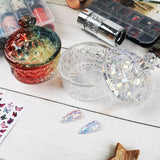 BQAN Large 3.4 Fluid Ounce Dazzle Glass Duffel Plate with Lid for Acrylic Liquids