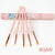 BQAN 5 Pcs UV Gel Acrylic Nail Art Brushes Set Professional Nail Liner Painting Drawing Gel Nail Brush Manicure Art Tools
